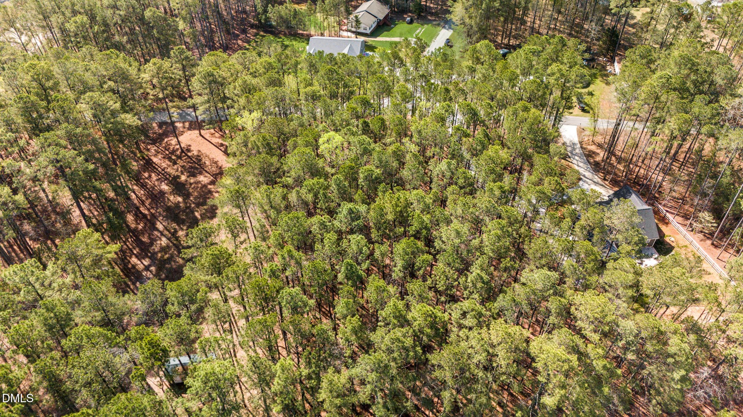 Image 3: TwinOaks3