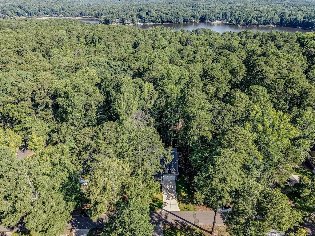 Image 3: Aerial View - Lake Trace in background
