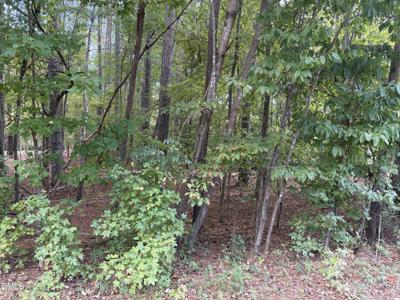 131 Clear Water Road