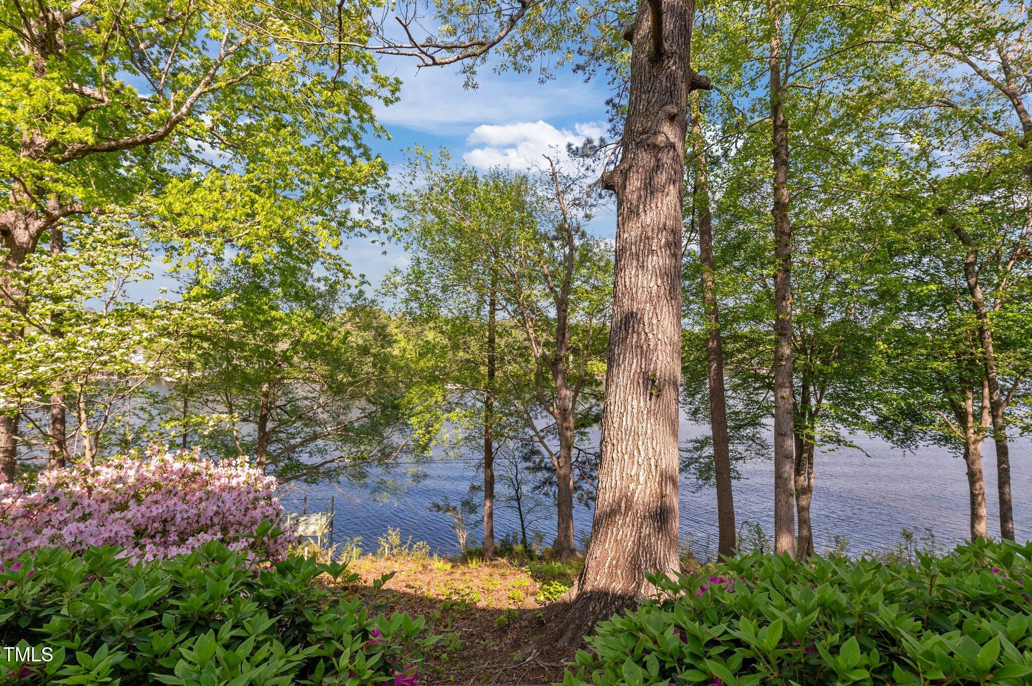 Image 3: 38-web-or-mls-DSC_6521