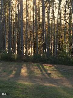 Image 3: 675 Anderson Creek 4
