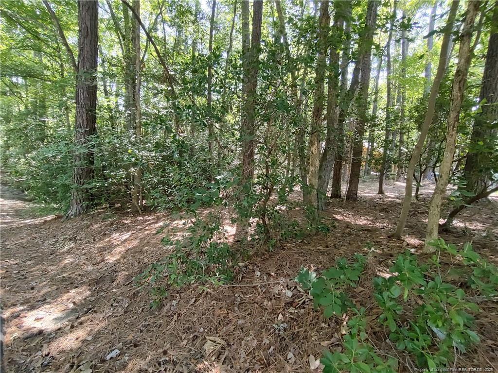 Image 3: Lightly wooded