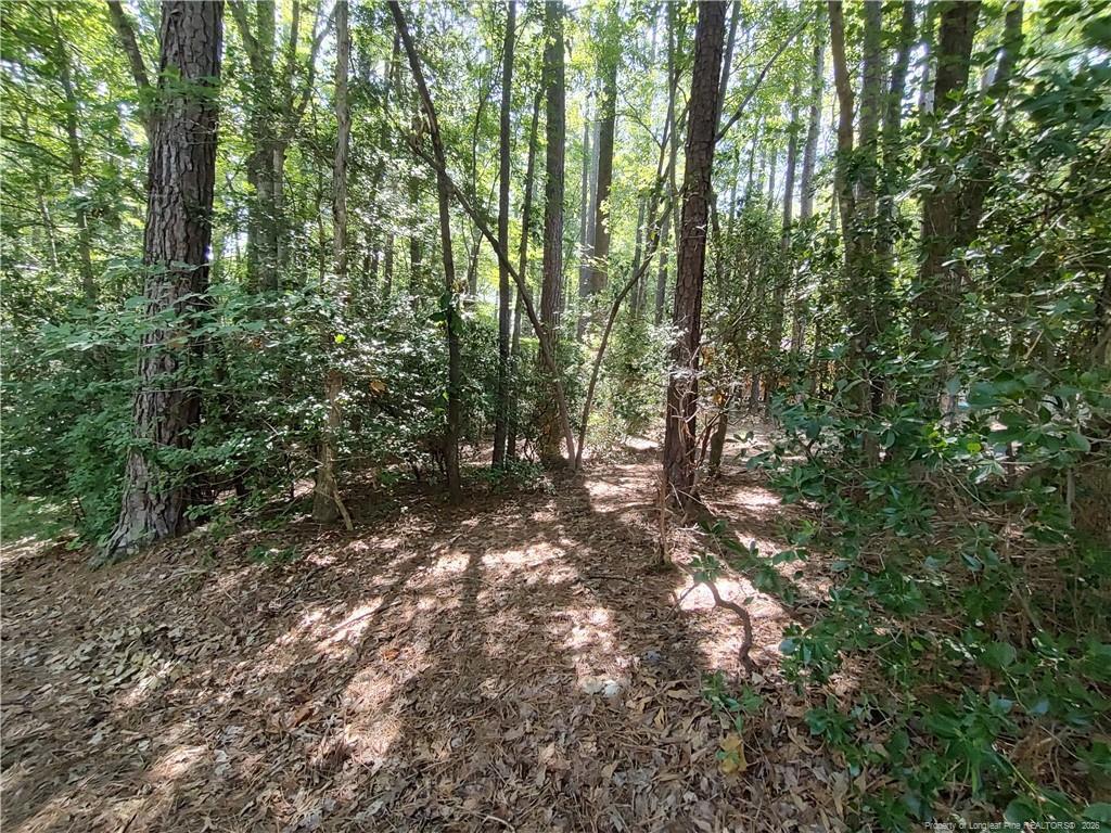 Image 4: Lightly wooded - brush