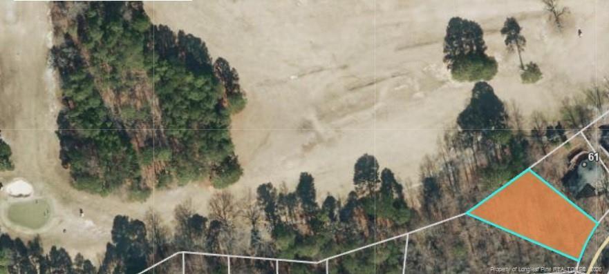 Image 1: Photo 1