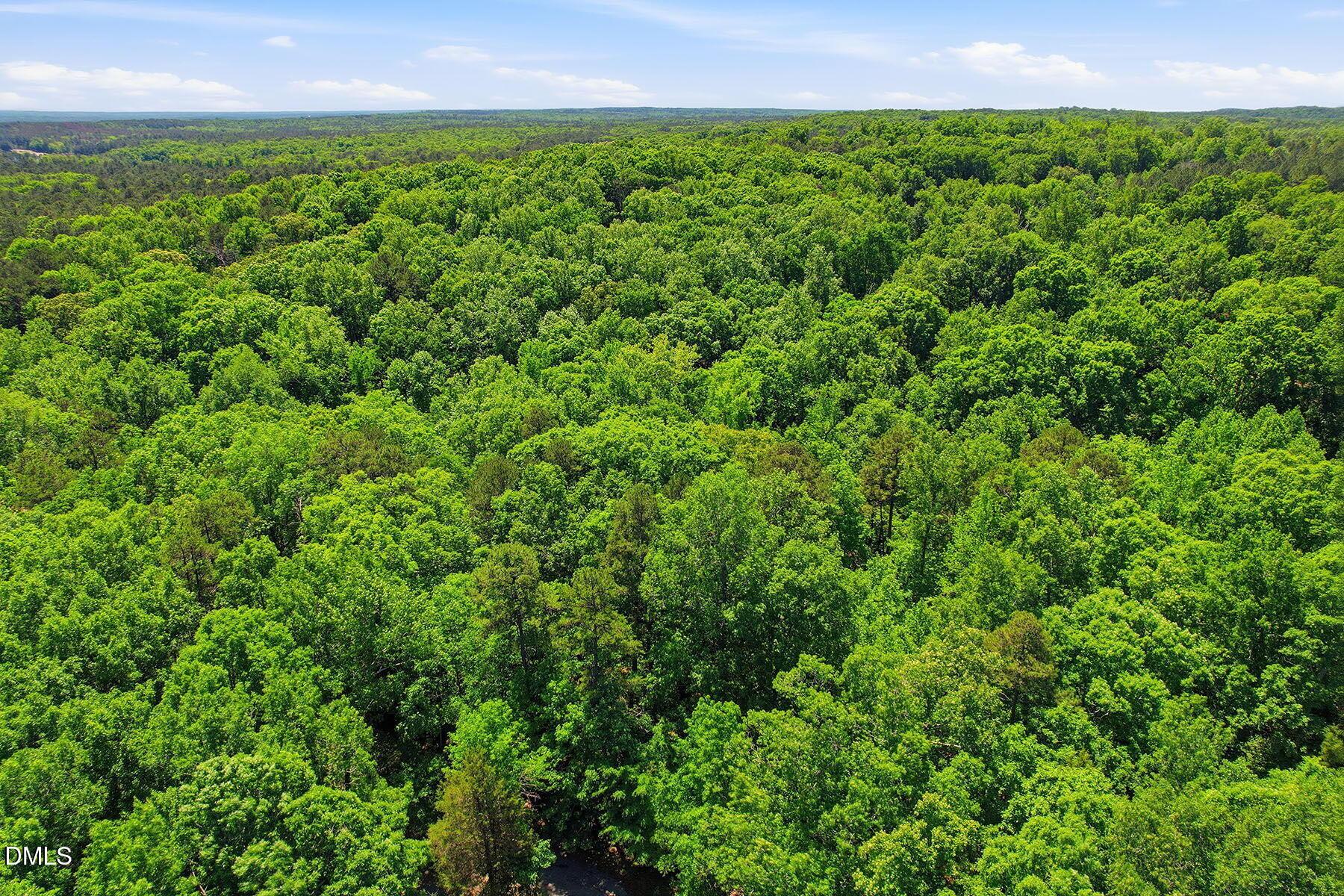 Image 3: 2-web-or-mls-0 Lakestone Estate Dr-14