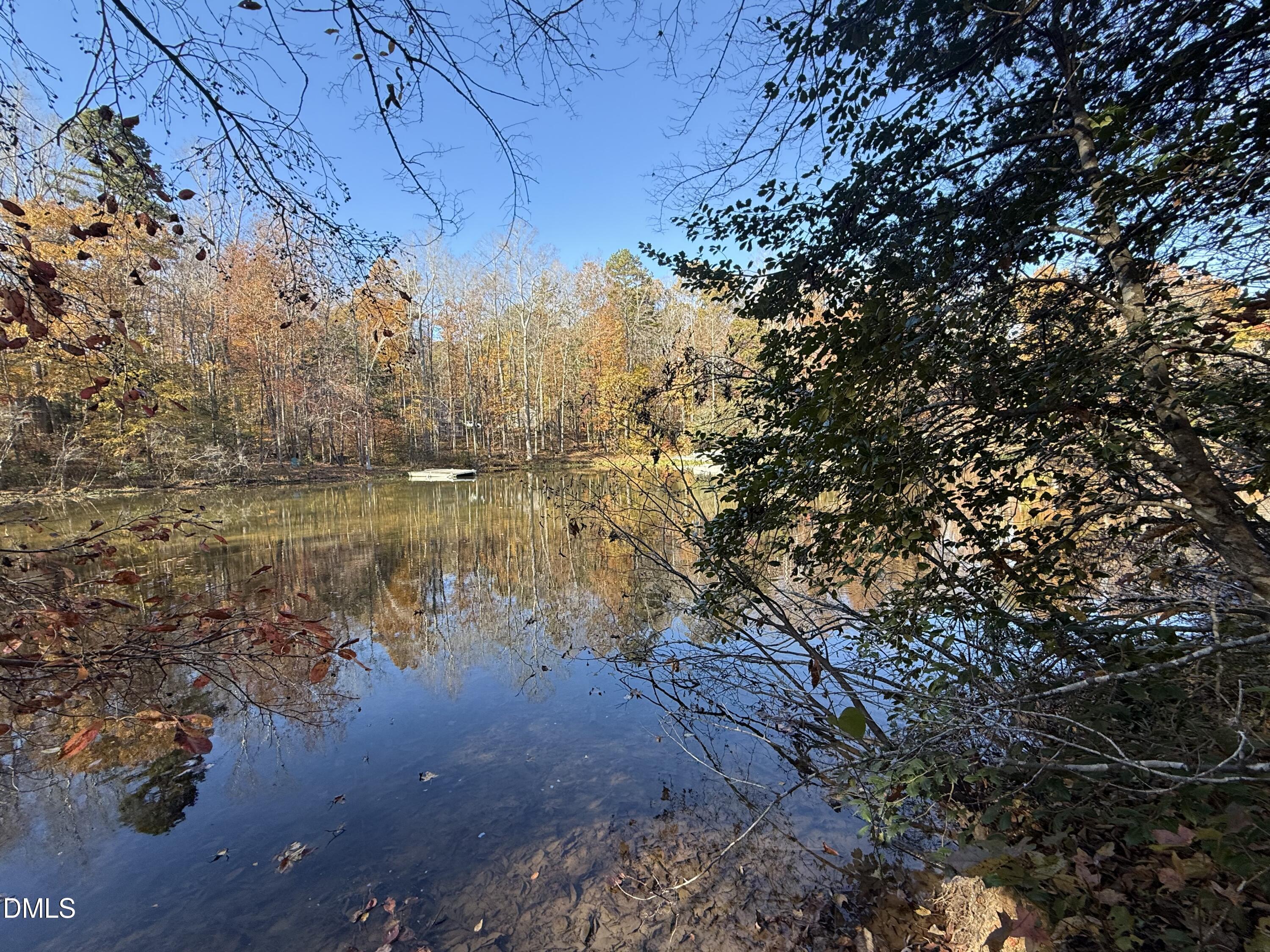 Image 2: IMG_3097