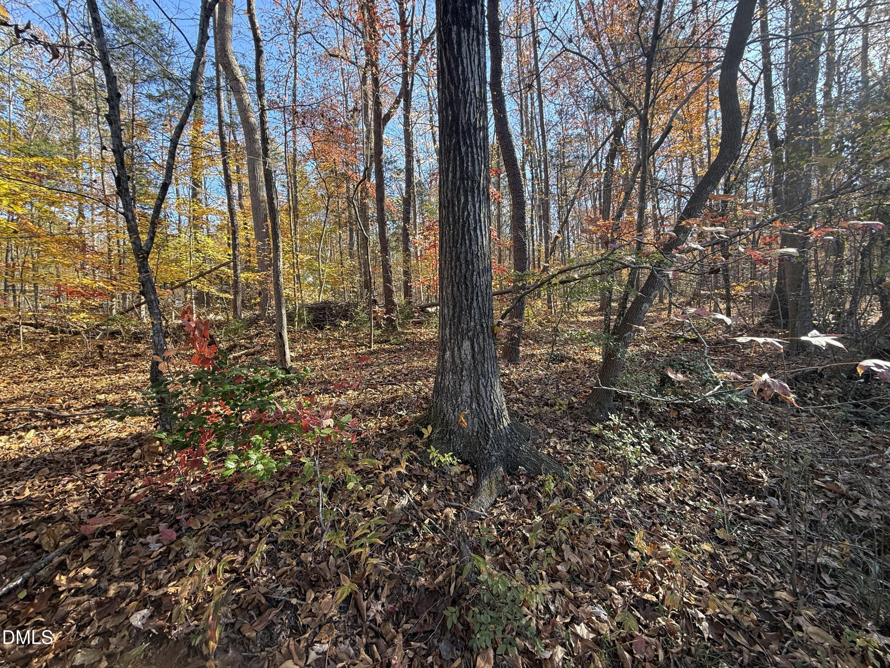 Image 3: IMG_3098