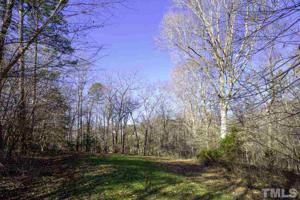 Lot 8 Fork Junction Road