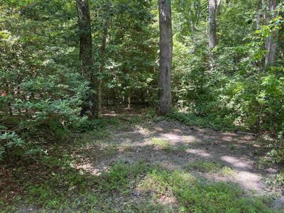 1139 Beaver Branch