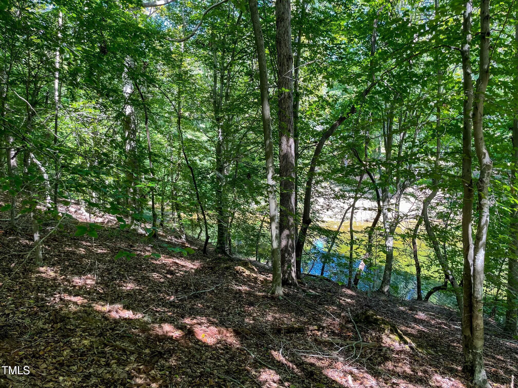 Image 4: 20240909192546768970000000-o