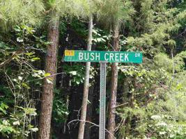 76 Bush Creek Lane
