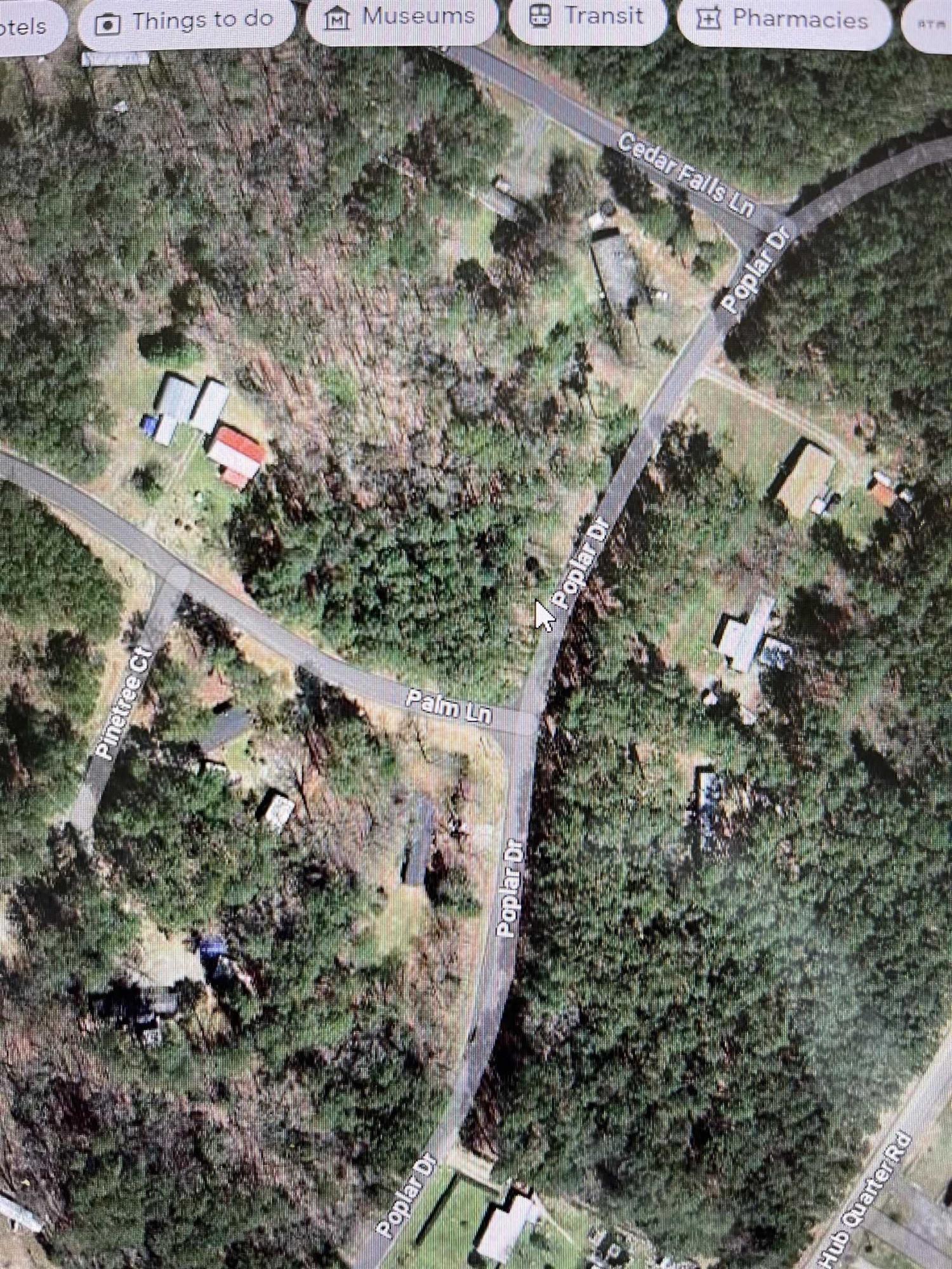Image 1: Photo 1