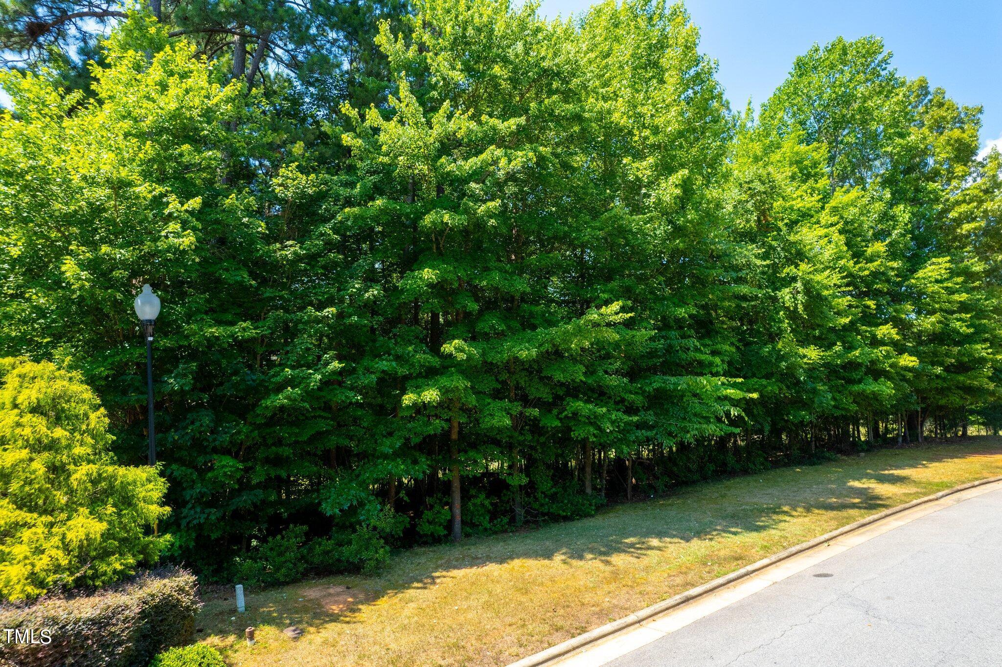 Image 3: 1-web-or-mls-108 Eden Glen (1 of 10)