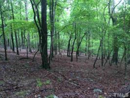 677 Buteo Ridge