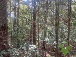 0 Camp Kanata Road