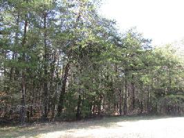 7 Wild Turkey Drive