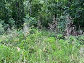 Image 3: IMG_7426