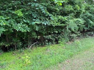 Image 4: IMG_7427