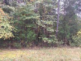 lot 13 Quail Hollow