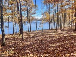 Lot 3 Ruddy Duck Lane
