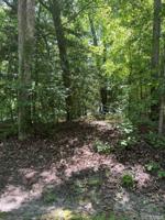 153 Woodwedge Way