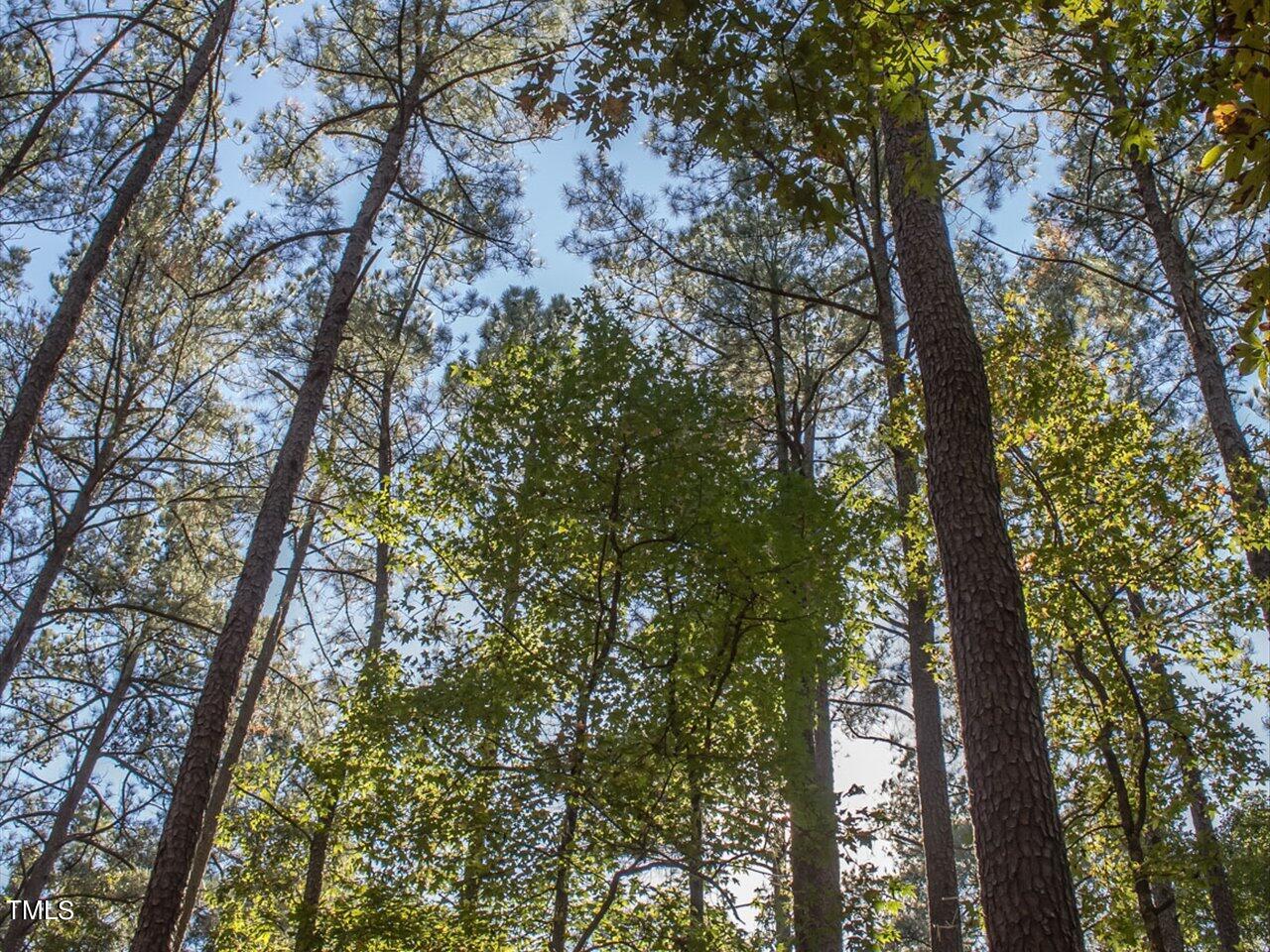 Image 3: 107-Nearby Jordan Lake