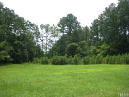12409 Birchfalls Drive