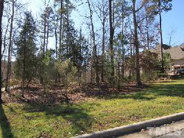 116 Broad Leaf Circle