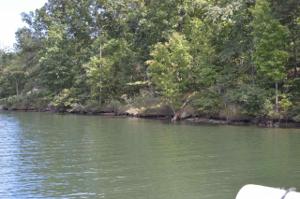 Lot 18 Cane Creek Drive