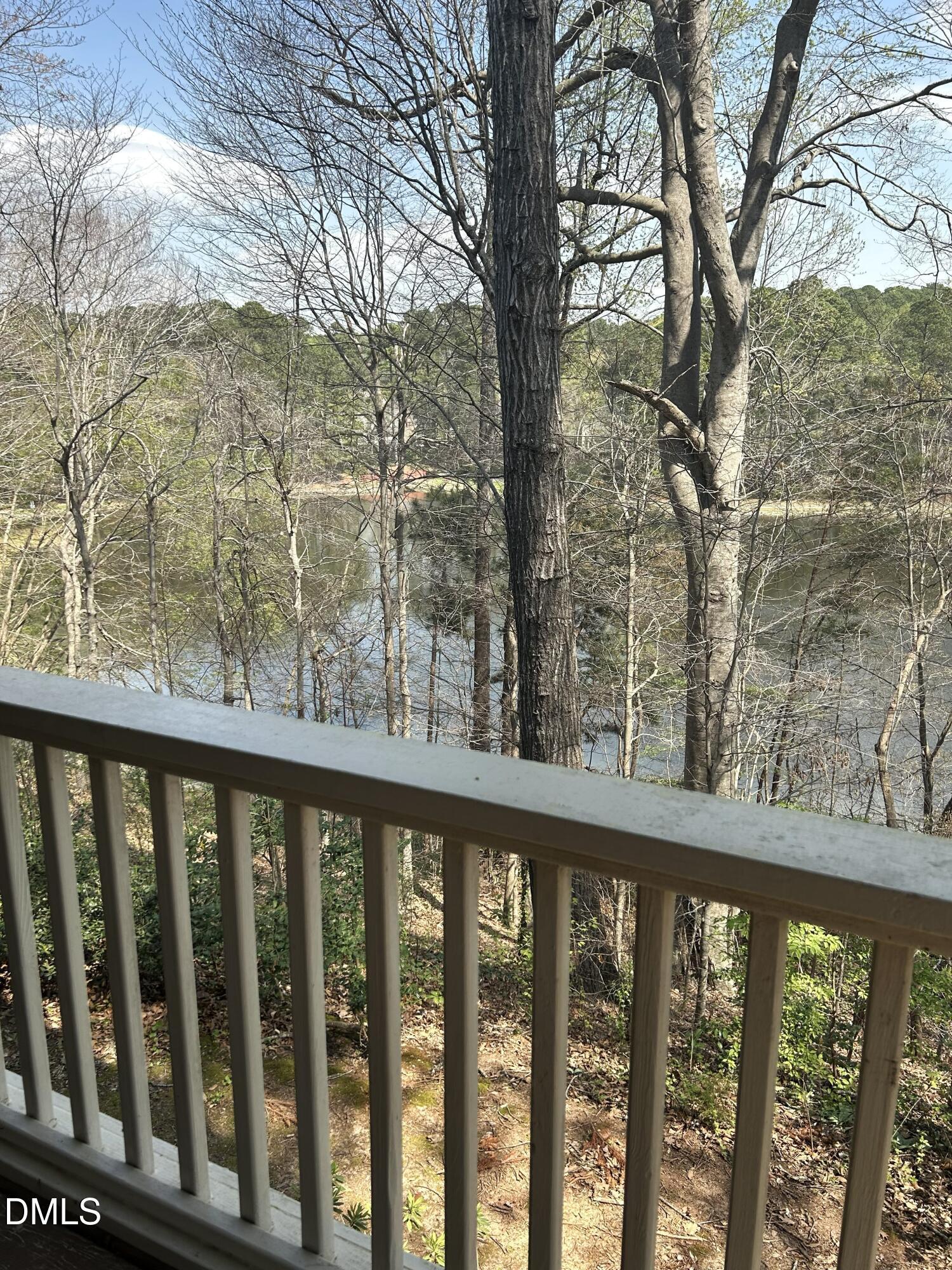 Image 2: Lake view