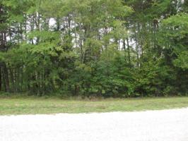 Lot 7 Wild Turkey Drive