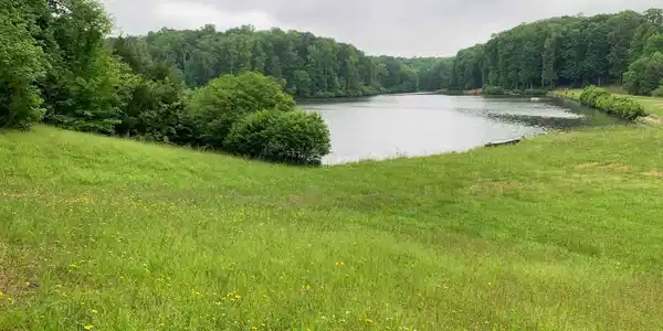 00 Oak Forest Lane