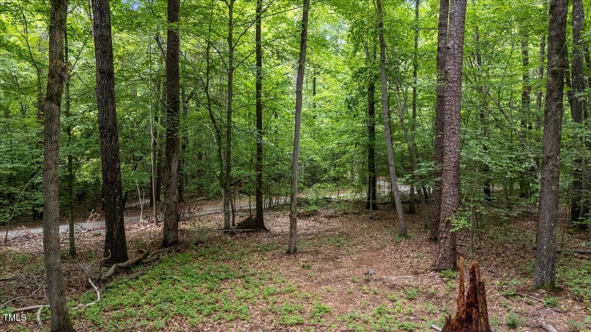 Image 4: 03-lot 8 buttonwood ln (16 of 16) - Copy Image 4: 03-lot 8 buttonwood ln (16 of 16) - Copy