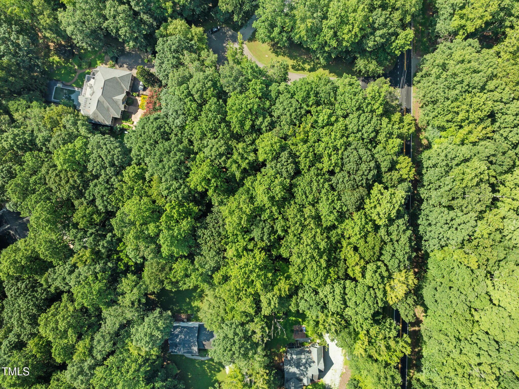 Image 4: 12-web-or-mls-DJI_0654