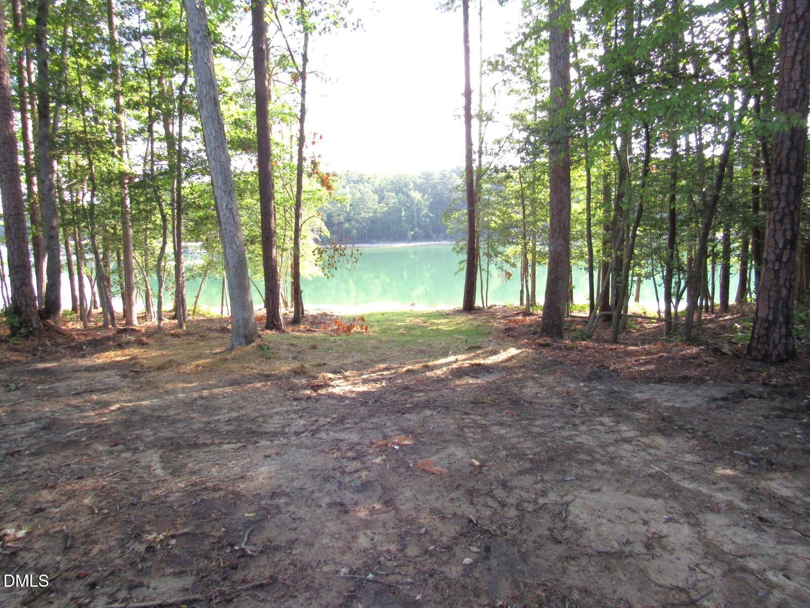 Image 3: lot 10 (1)