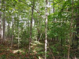 Lot 1 Virgilina Road