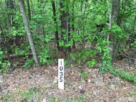 19222 Stone Brook