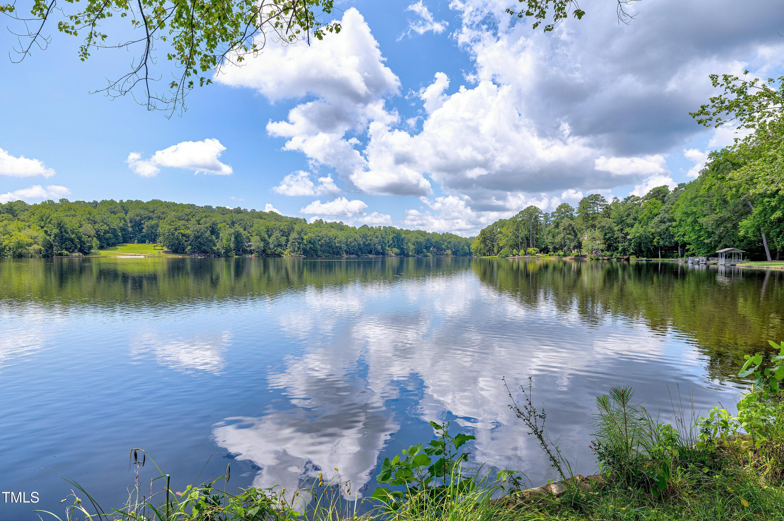 Image 2: Lakeshore Scene-35