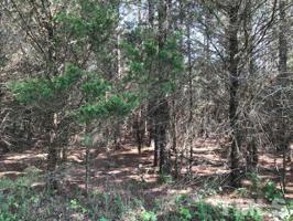 0 Otis Johnson Road