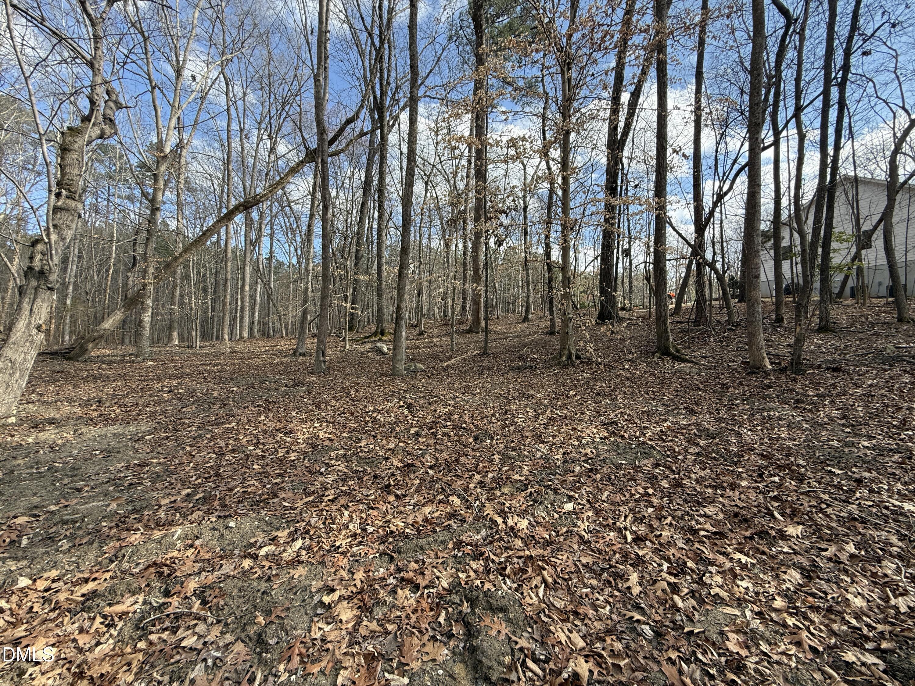 Image 2: IMG_1614