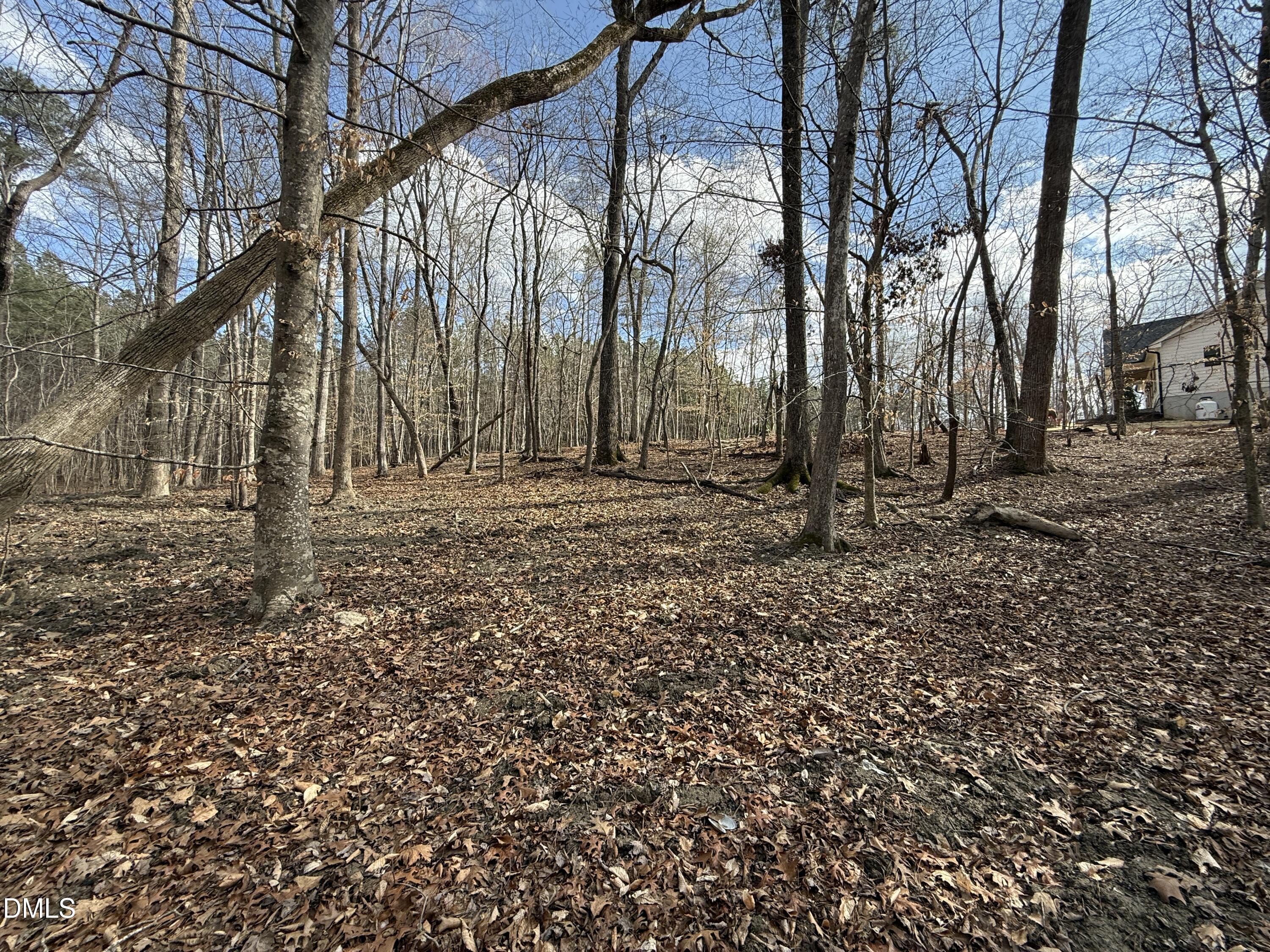 Image 3: IMG_1617