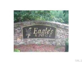 TBD Bald Eagle Drive