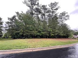 80 Forked Pine Court
