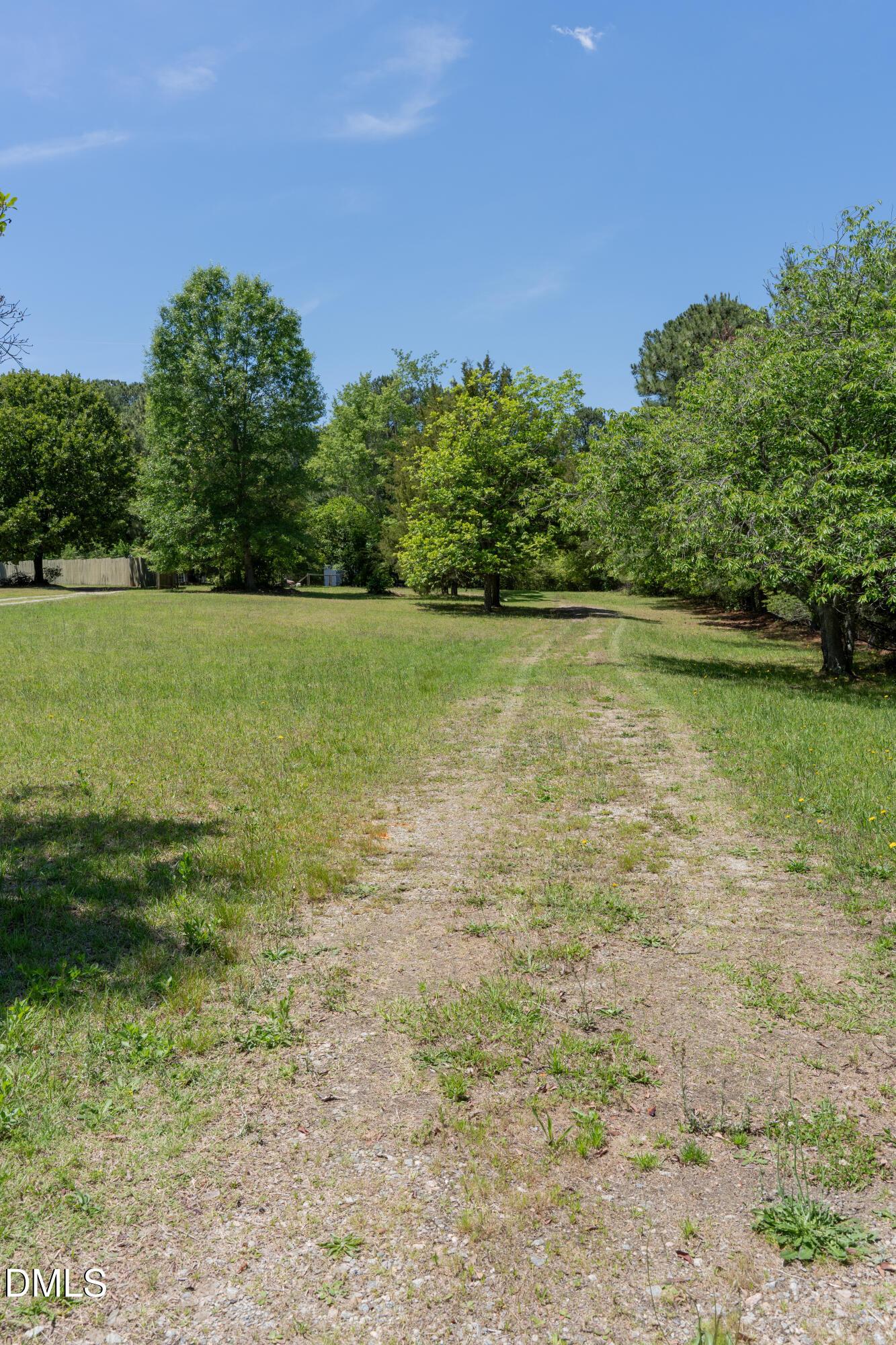 Image 2: DSC00087