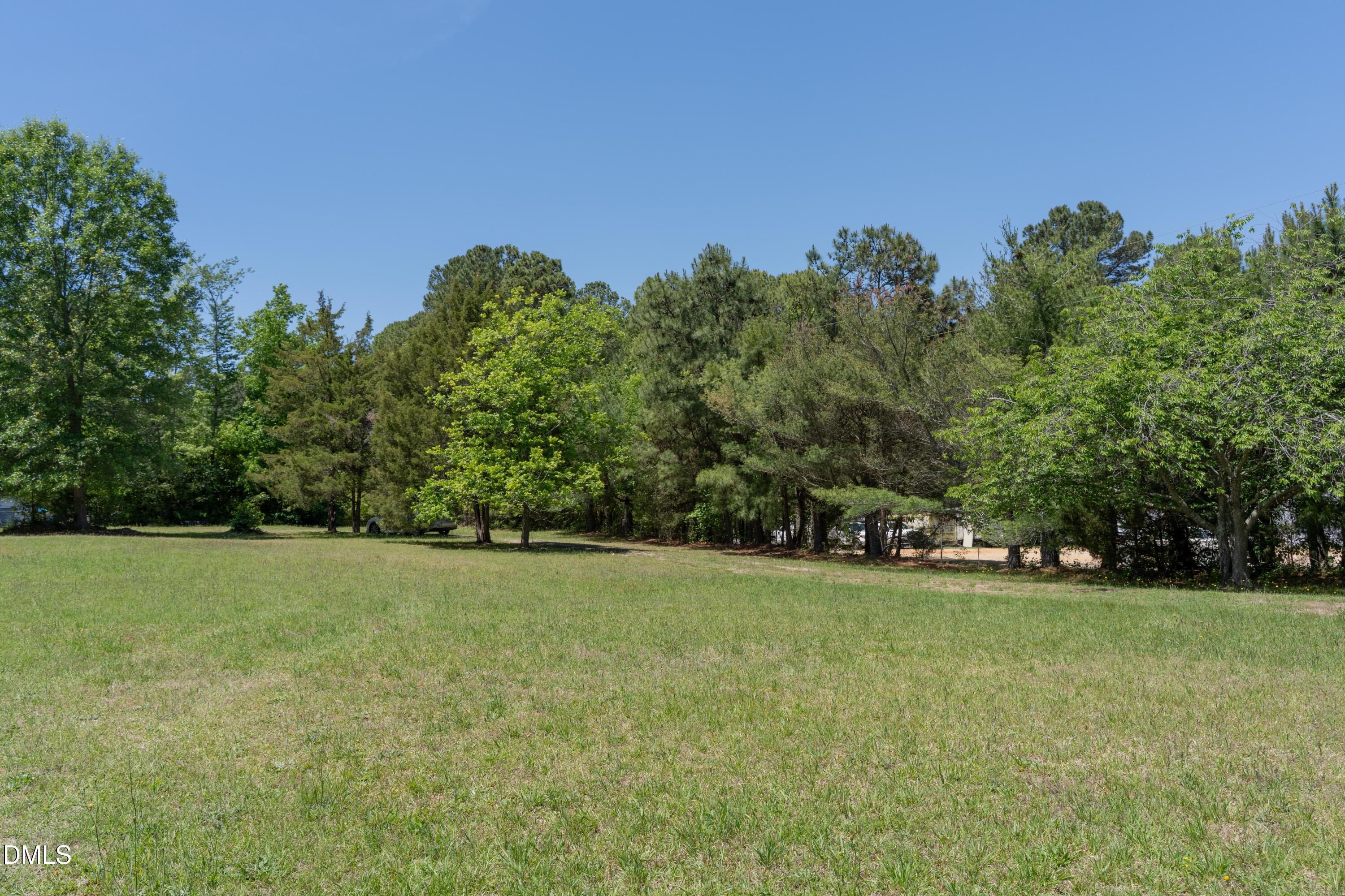 Image 3: DSC00084