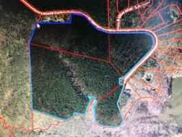55.75 acres Lonach Lane