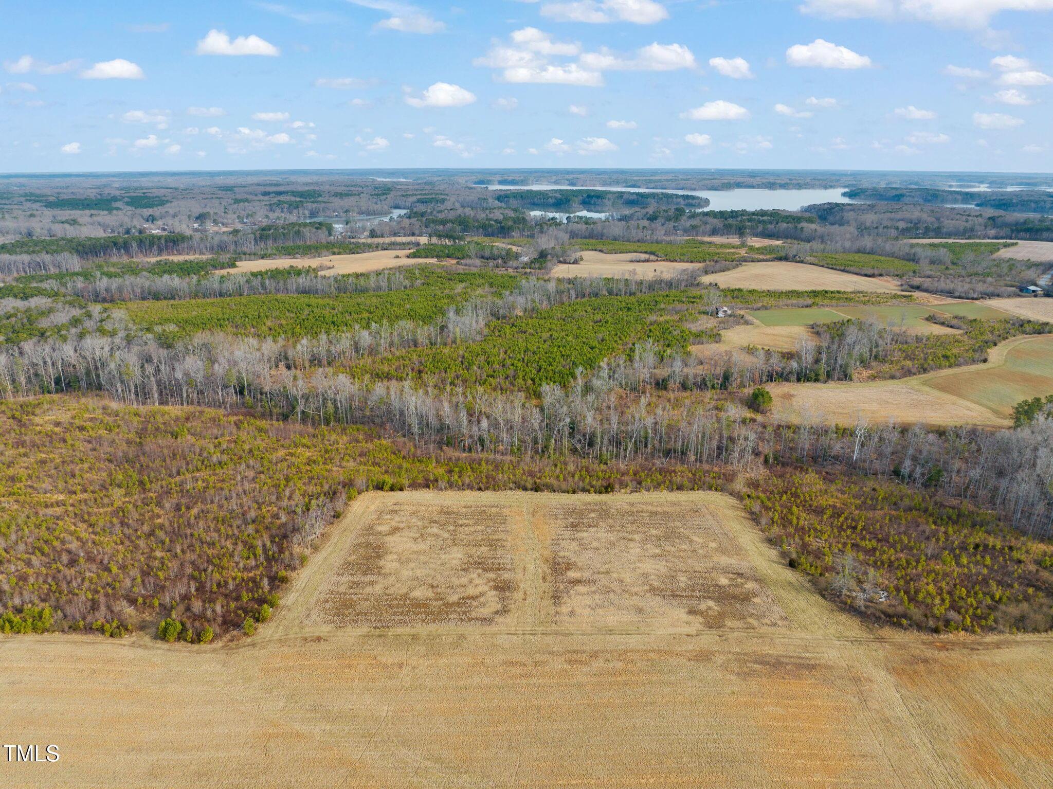 Image 3: From South border looking North