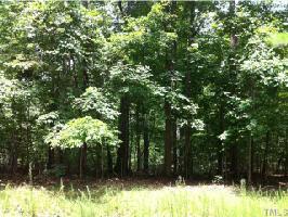 Beaver Dam Road
