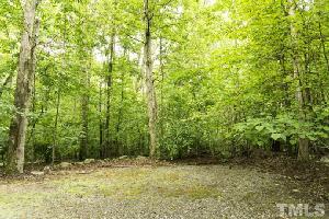 Lot 45 Miles Branch Road