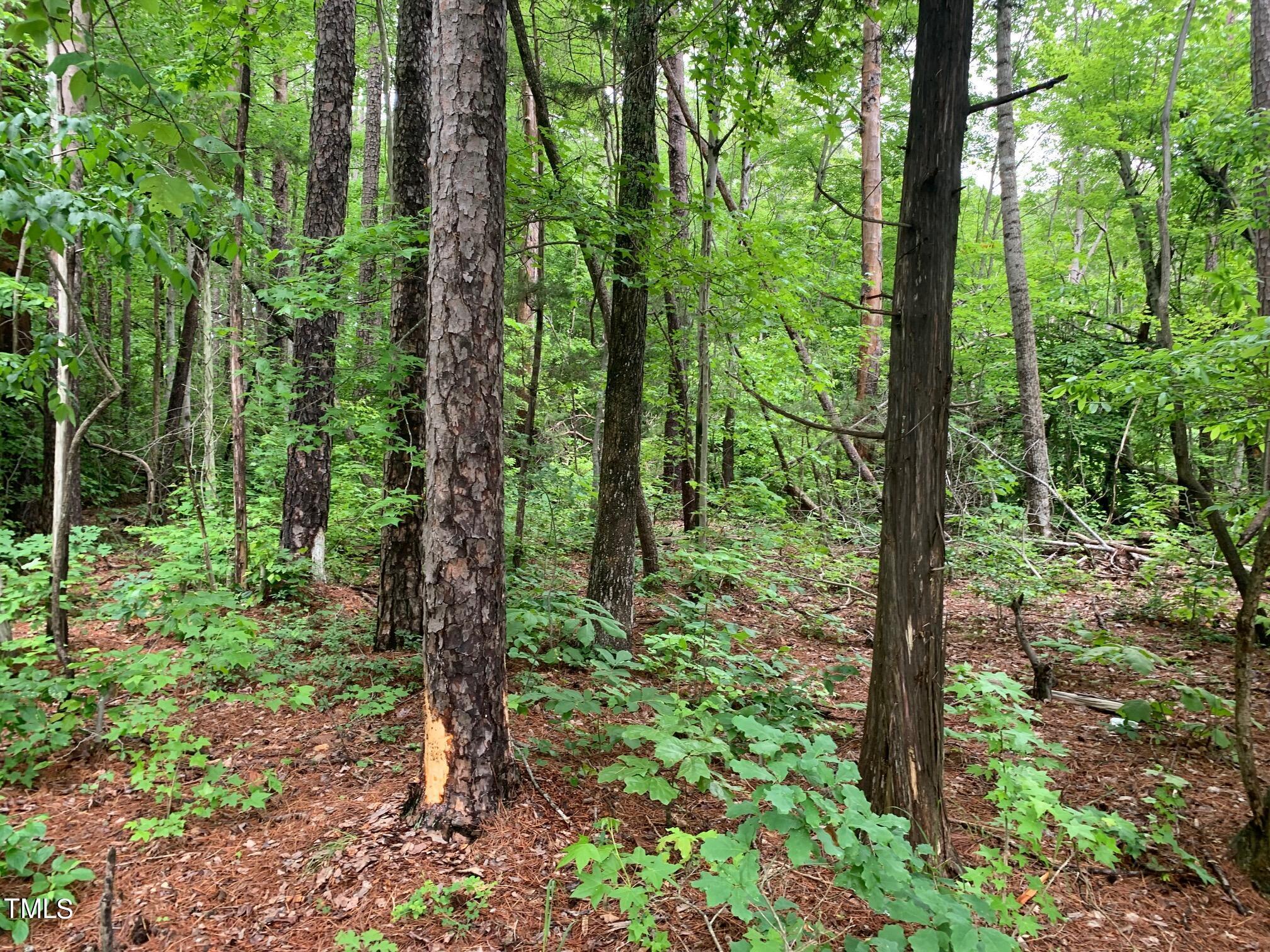 Image 3: IMG_7325